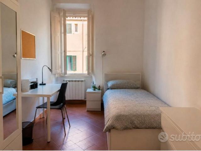 Stanza singola Firenze S Spirito libera da subito