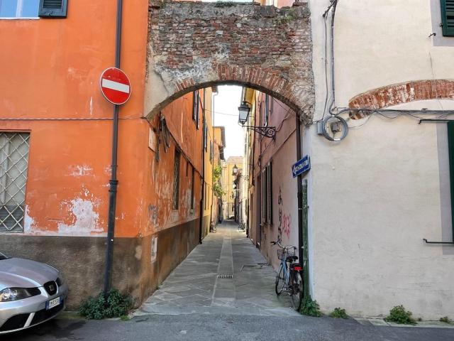 Stanza Singola in affitto, Pisa sant'antonio