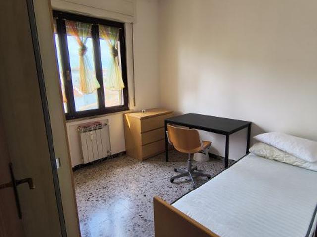 STANZA SINGOLA libera da subito Zona Don Bosco traversa di Via Garibaldi, Pisa