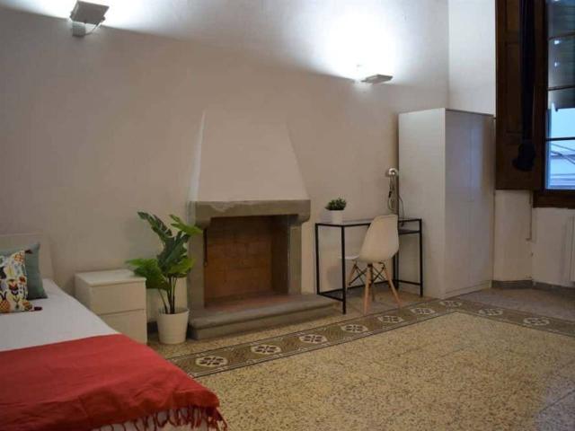 Stanza/Camera in affitto a Firenze