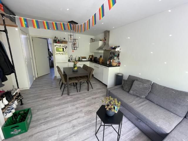 Star Numanstraat, Professorenbuurt, Korrewegwijk, Oude wijken, Groningen, Nederland, 9714 JR, Nederland