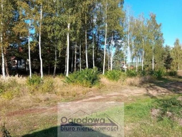 Stare Załubice, 1090 m² Działka