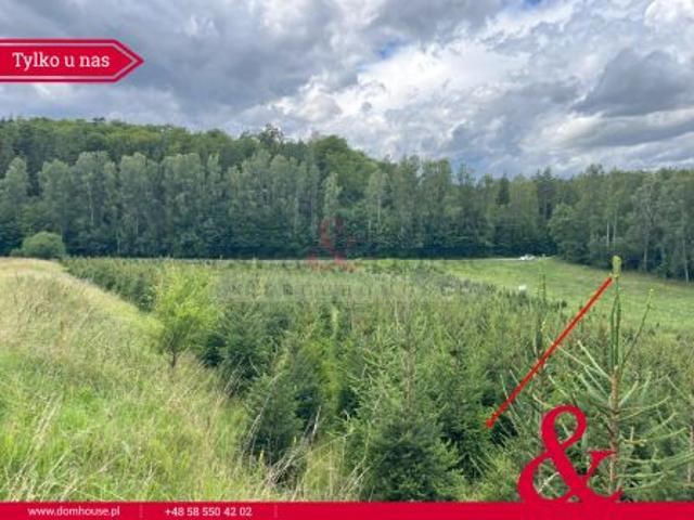 Stare Czaple, 1085 m² Działka
