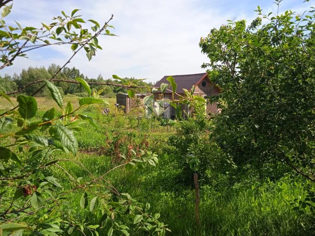 Старостино д