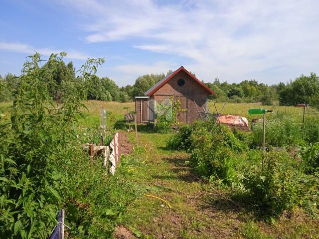 Старостино д