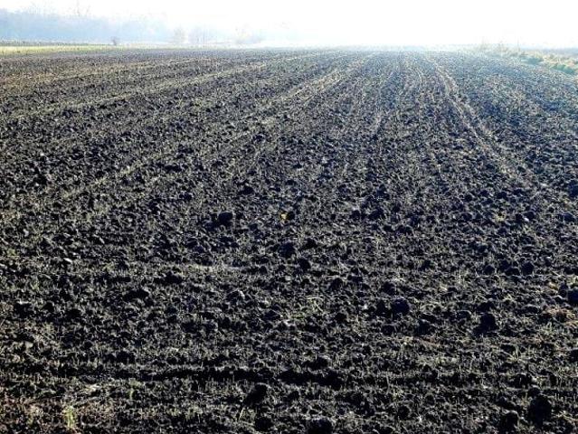 Starowiślna 11 761 m², Oświęcim