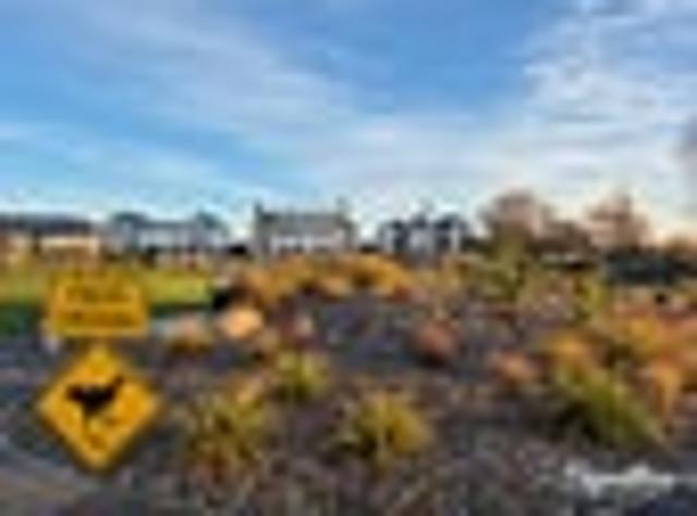 Start fresh, live local, settle in Quaifes Park
