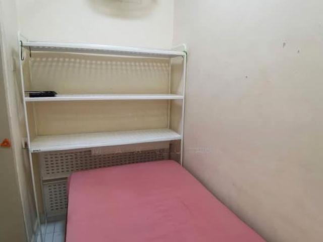 Starville D14, Condominium