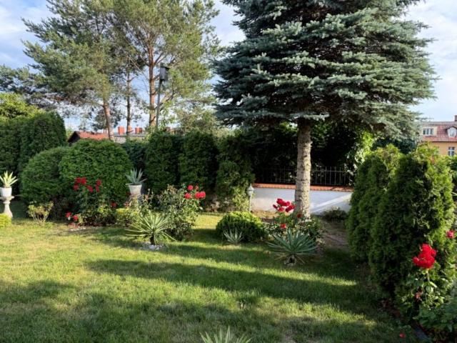 Staszica 160 m², Giżycko