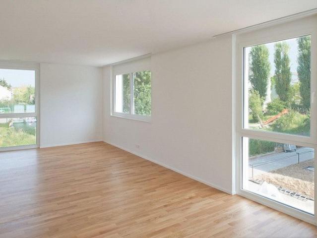 Steuergünstig wohnen im gemütlichen Allschwil