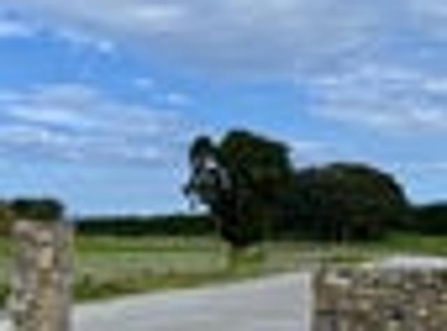 Stevens Way, Kara Road