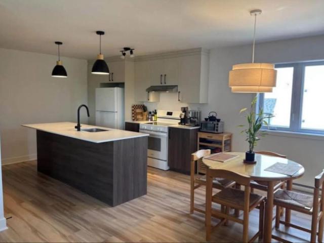 Ste Anne des Plaines Grand 4 1/2 Neuf
