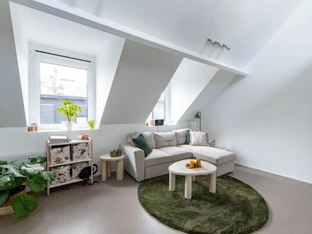 Steenhouwersvest 9 /3 2000 Antwerpen