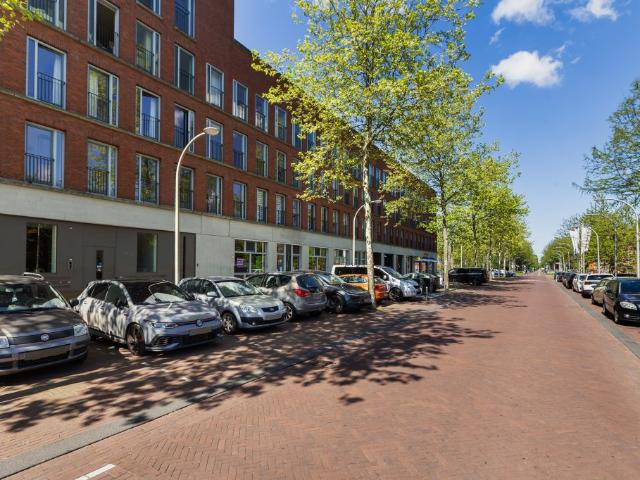 Steentijdsingel, Den Haag