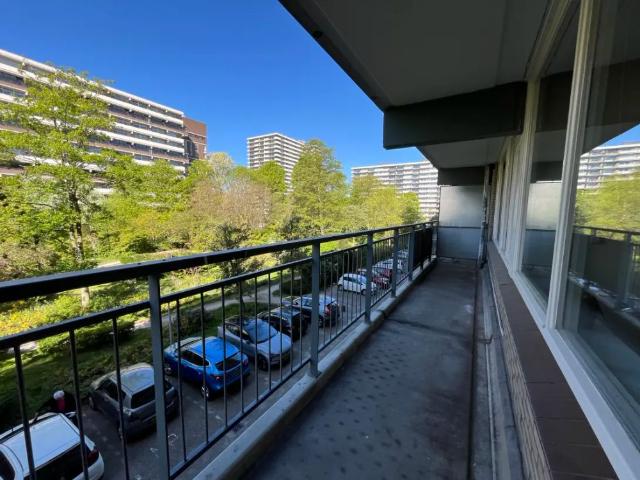Steenvoordelaan 232