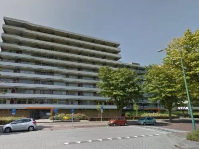 Steenvoordelaan 54