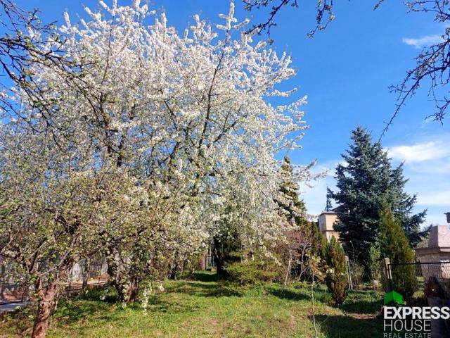 Stefana Okrzei 3 539 m², Częstochowa