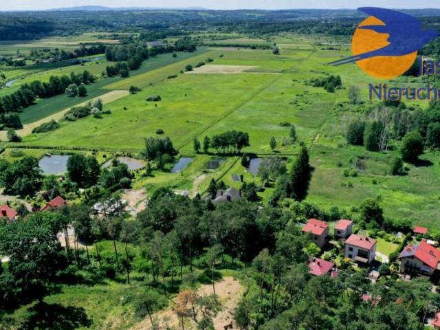 Stefana Żeromskiego 1 504 m², Ostrowiec Świętokrzyski