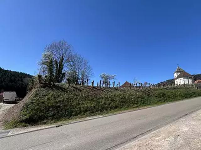 Steige 67220 Achat / Vente terrain