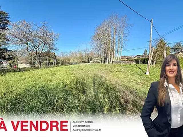 Steinbrunn le Bas 68440 Achat / Vente terrain