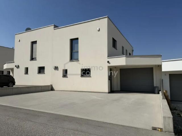 Steinhaus 4641 101947373