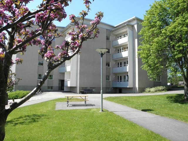 Stenlyckegatan 29 B