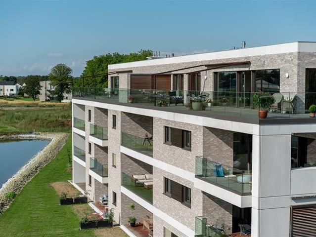 Sterea, la perfection sur mesure