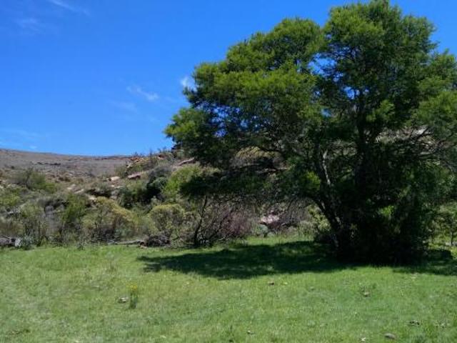 Farm Sterkstroom Eastern Cape 85232996