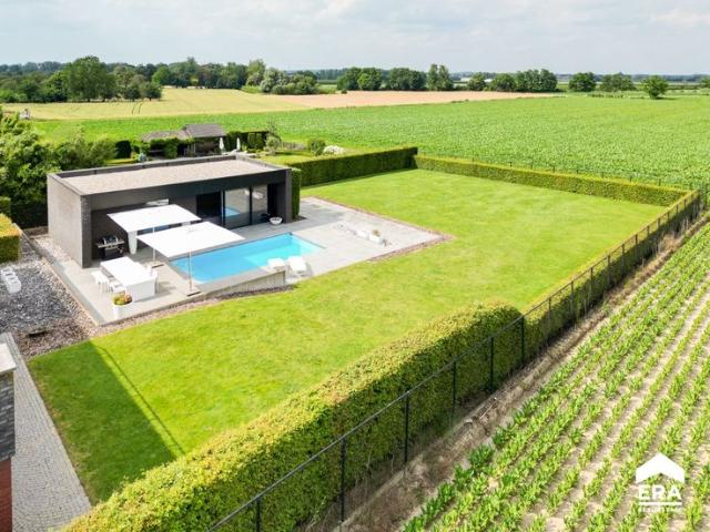 Stijlvolle moderne villa met 4 slaapkamers in Sint Truiden