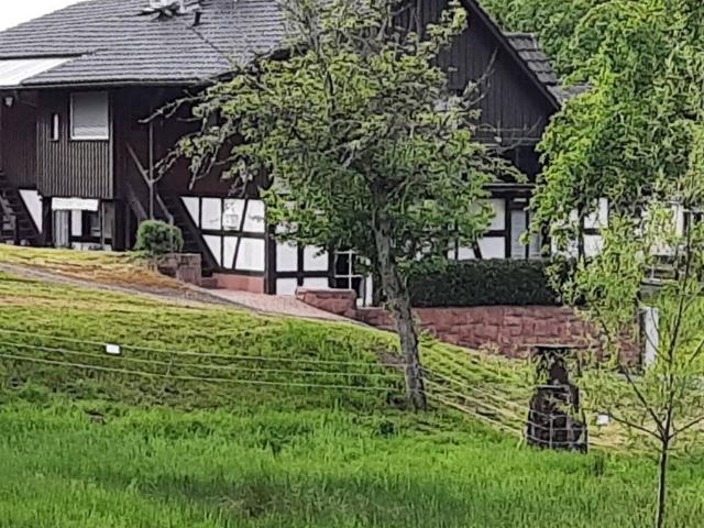 Stilvolles Fachwerkhaus in Schwarzwaldlage charmant, flexibel, naturnah, bis zu 3 Wohneinheiten