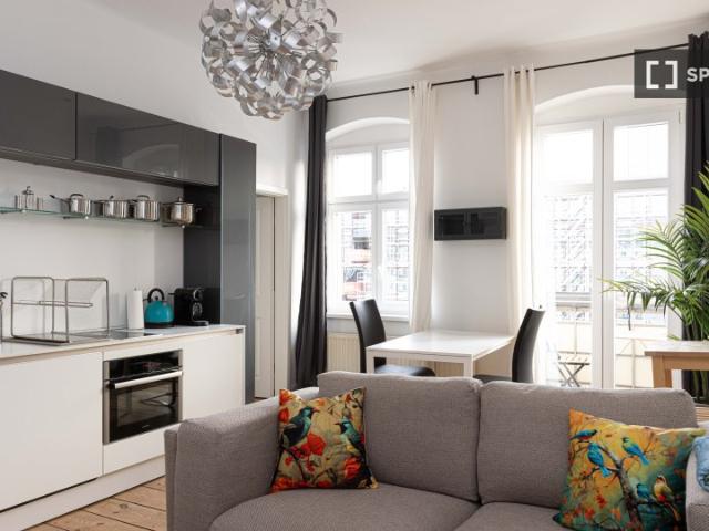 Stilvolles und brandneues 1 Zimmer Apartment mit Balkon