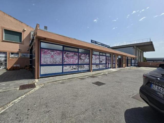 Struttura per uso commerciale in vendita a Pontedera 970 mq Rif: 1426798