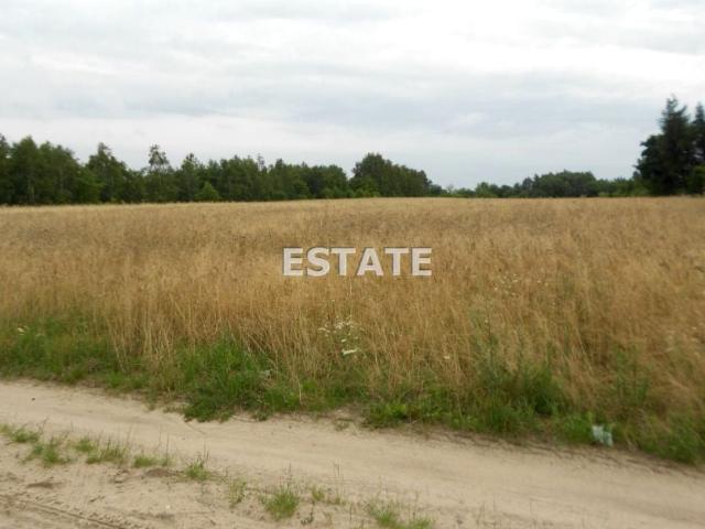 Strykowska 11 891 m², Łódź