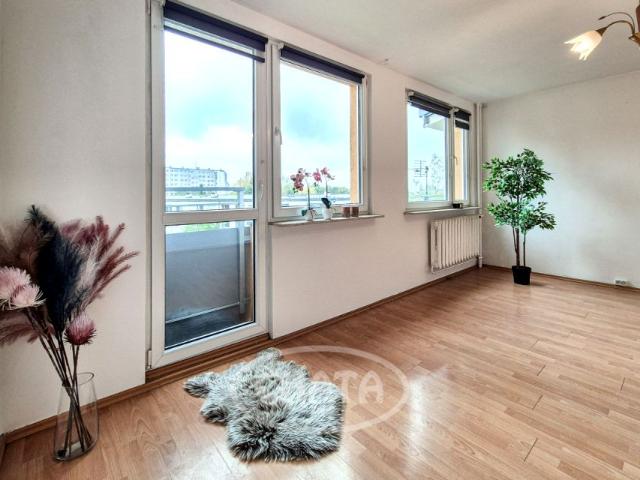 Strzegomska 70 m², Wrocław