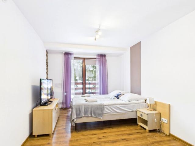 Strzelców Podhalańskich 23,62 m², Kościelisko