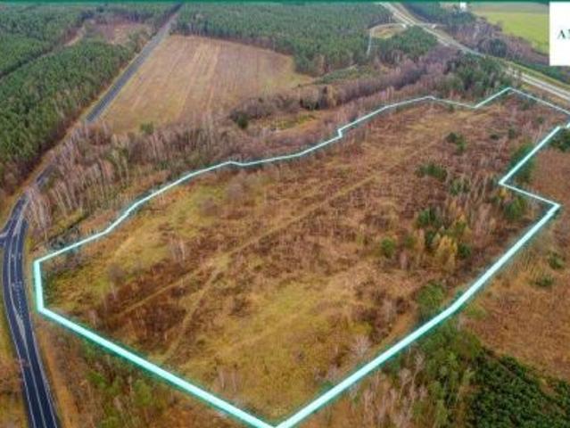 Strzelno, 98100 m² Działka