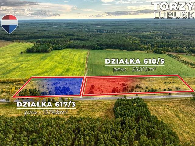 Strażacka 40 780 m², Torzym