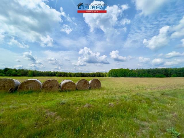 Działka 6 534 m² z lasem i jeziorem – idealna inwestycja