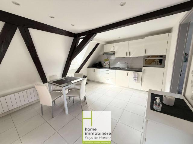 STRASBOURG CATHEDRALE F2 DUPLEX MEUBLE