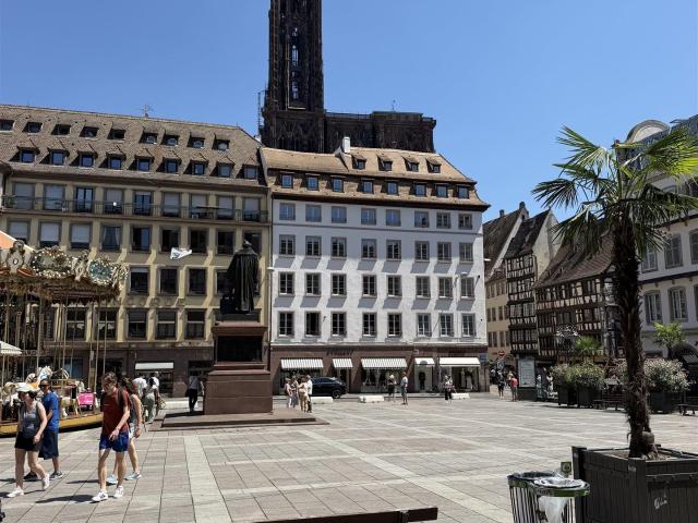 Strasbourg Centre Historique 3 pièces rénové proche cathéd. 74m² Strasbourg
