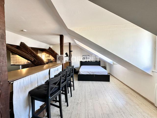 Strasbourg Location Appartement 67