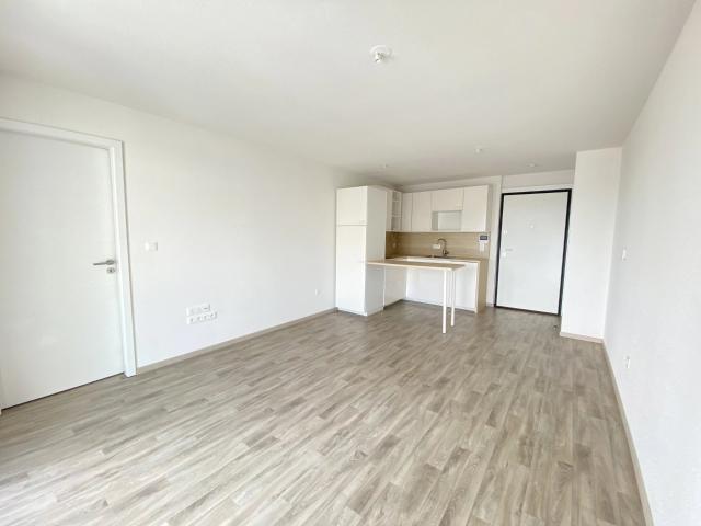 Strasbourg Location Appartement 67