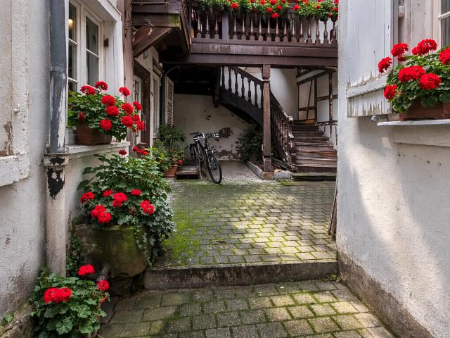 Strasbourg Vente Appartement 67