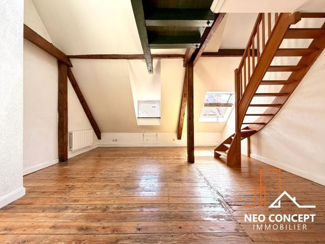 Strasbourg Vente Appartement 67