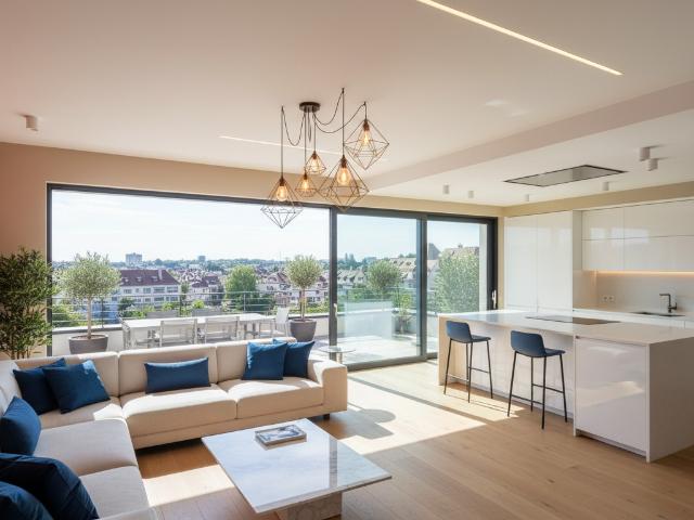 Strasbourg Vente Duplex/triplex 67