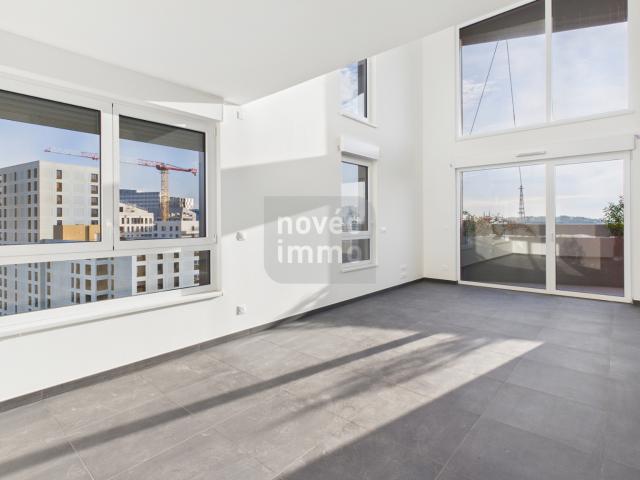 Strasbourg Vente Duplex/triplex 67