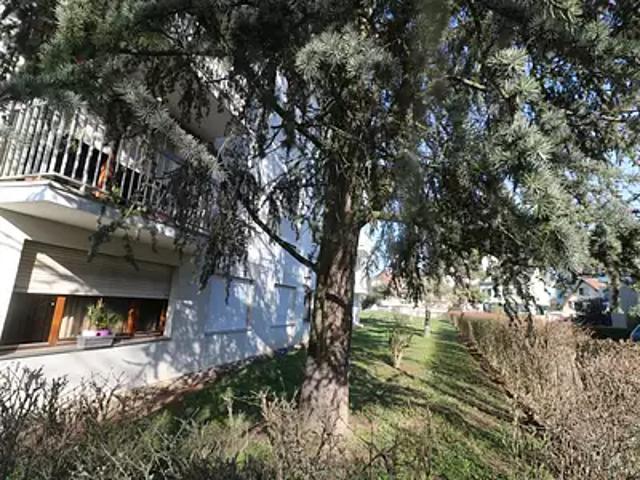 Strasbourg 67000 Achat / Vente appartement 1 pièce t1