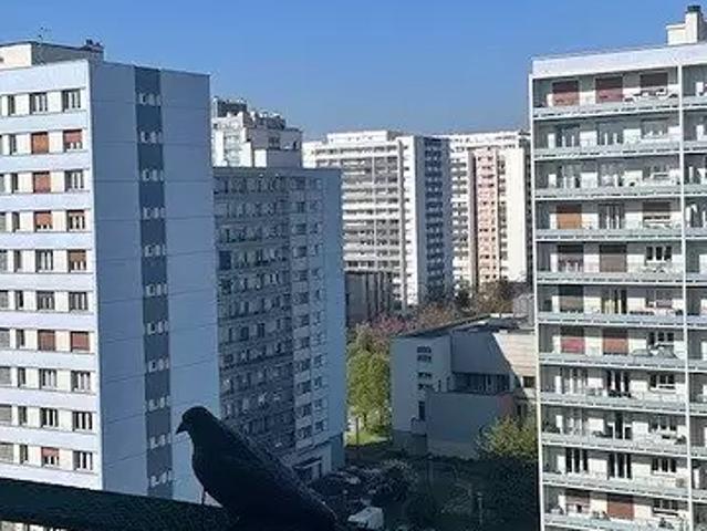 Strasbourg 67000 Achat / Vente appartement 5 pièces t5 parking