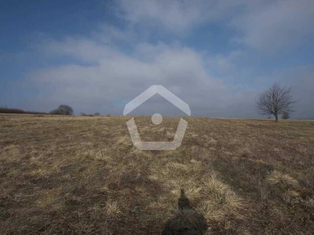 Straszydle, 2 600 m2