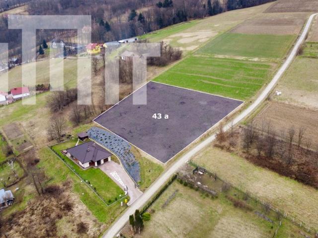Straszydle, 4 300 m2